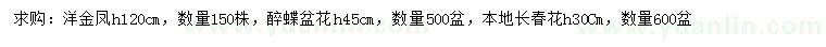 求購(gòu)洋金鳳、醉蝶、春花