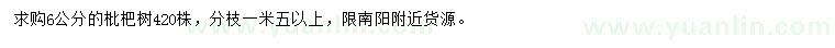 求購6公分枇杷樹