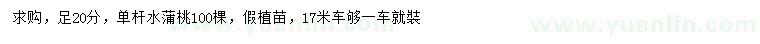 求購20公分單桿水蒲桃
