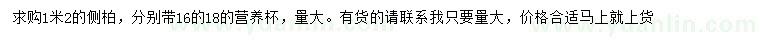 求購1.2米側(cè)柏