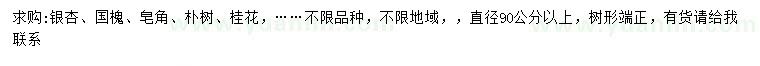 求購銀杏、國槐、皂角等