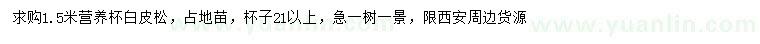 求購(gòu)1.5米白皮松