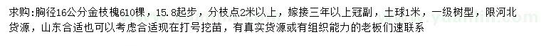 求購胸徑16公分金枝槐