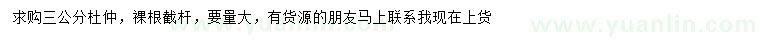 求購3公分杜仲