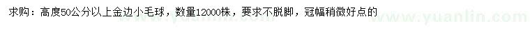 求購高50公分以上金邊小毛球