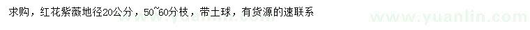 求購地徑20公分紅花紫薇