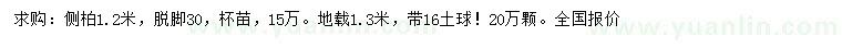 求購1.2米側(cè)柏