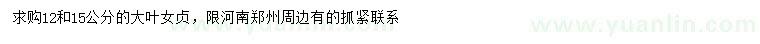 求購12、15公分大葉女貞