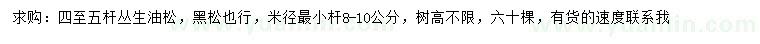 求購(gòu)叢生油松