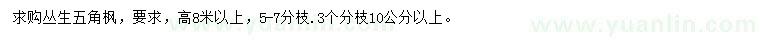 求購(gòu)高8米以上叢生五角楓