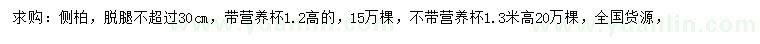 求購30公分側(cè)柏