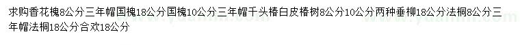 求購香花槐、國槐、千頭椿等