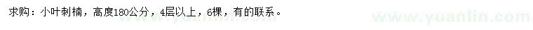 求購高180公分小葉刺楠