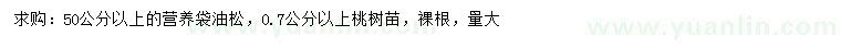 求購50公分以上油松、0.7公分以上桃樹苗