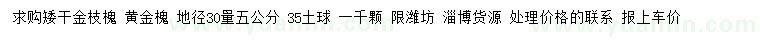 求購地徑30公分量5公分矮桿金枝槐、黃金槐