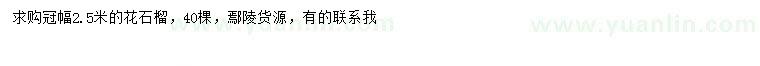 求購冠幅2.5米花石榴