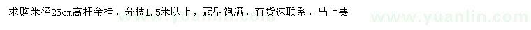 求購米徑25公分高桿金桂		
