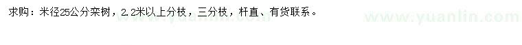 求購米徑25公分欒樹