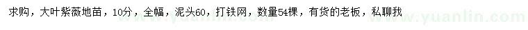 求購10公分大葉紫薇地苗