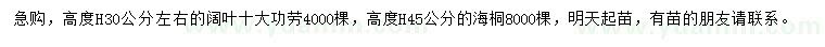 求購高30公分左右闊葉十大功勞、45公分海桐
