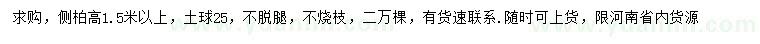 求購高1.5米以上側(cè)柏