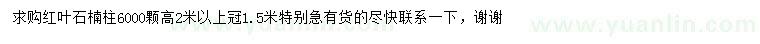 求購高2米以上紅葉石楠柱