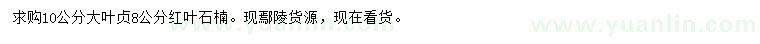 求購10公分大葉貞、8公分紅葉石楠