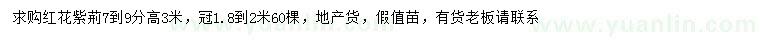 求購7-9公分紅花紫荊