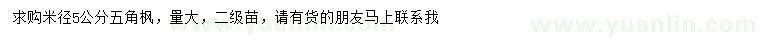 求購米徑5公分五角楓