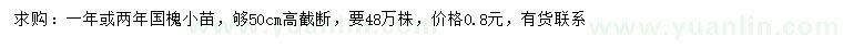 求購高50公分國槐小苗