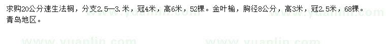 求購20公分速生法桐、胸徑8公分金葉榆
