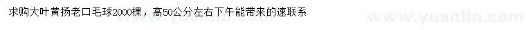 求購(gòu)高50公分左右大葉黃揚(yáng)
