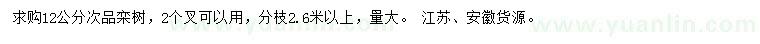 求購12公分欒樹