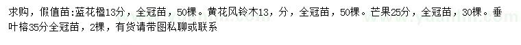 求購藍花楹、黃花風鈴木、芒果等
