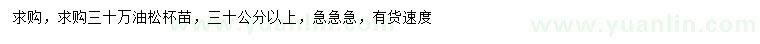 求購(gòu)30公分以上油松
