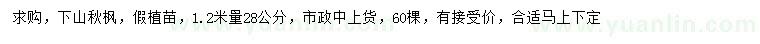 求購(gòu)1.2米量28公分秋楓假植苗