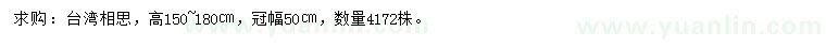 求購高150-180公分臺灣相思