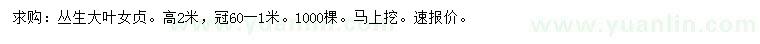 求購高2米叢生大葉女貞