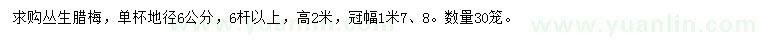 求購(gòu)高2米叢生臘梅