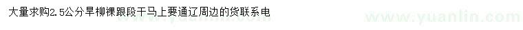 求購2.5公分旱柳