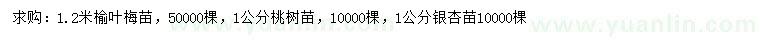 求購榆葉梅苗、桃樹苗、銀杏苗