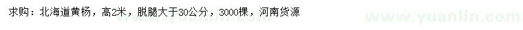 求購(gòu)高2米北海道黃楊