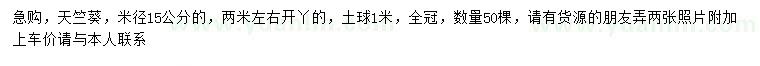 求購(gòu)米徑15公分天竺葵