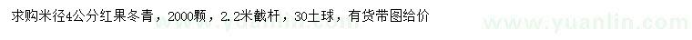 求購4公分紅果冬青