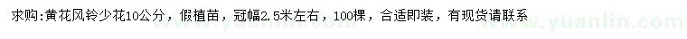 求購10公分黃花風鈴少花