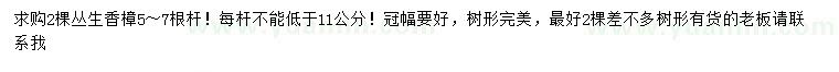 求購叢生香樟