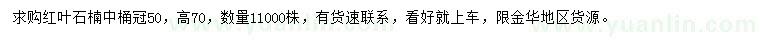 求購冠幅50公分紅葉石楠