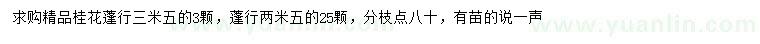 求購(gòu)蓬型2.5、3.5米精品桂花