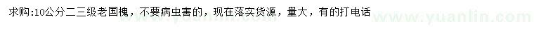 求購10公分老國槐
