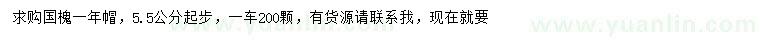 求購5.5公分起步國槐